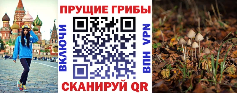 Галлюциногенные грибы Magic Shrooms  Пошехонье 